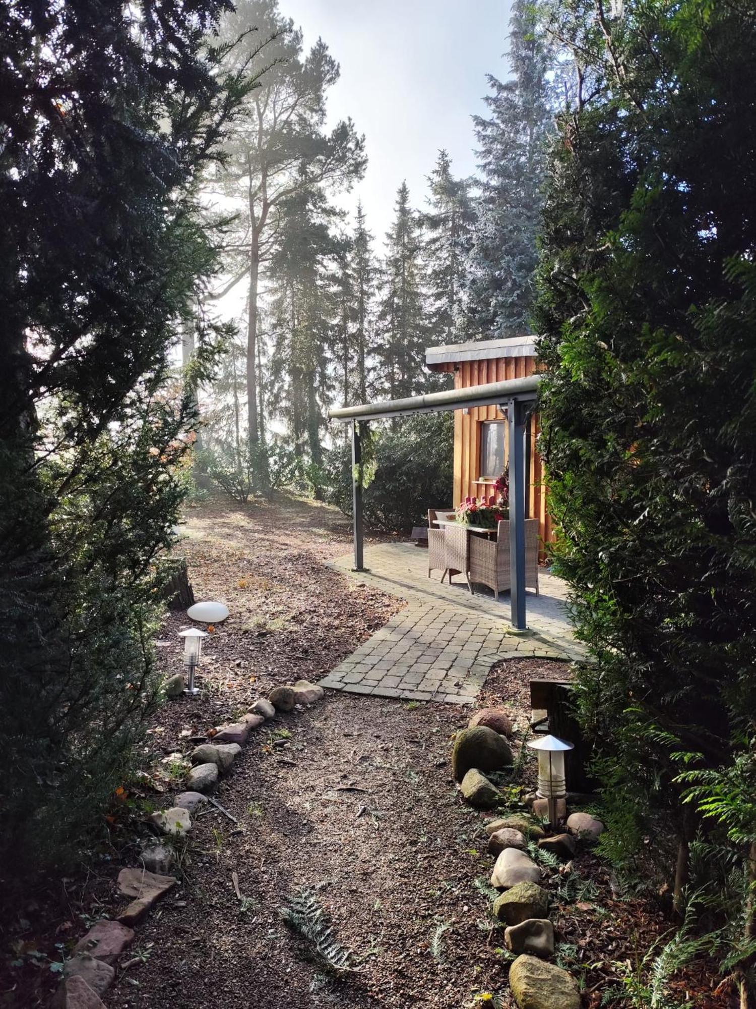 Ferienhaus Leon Mit Sauna Rehburg-Loccum Exterior photo